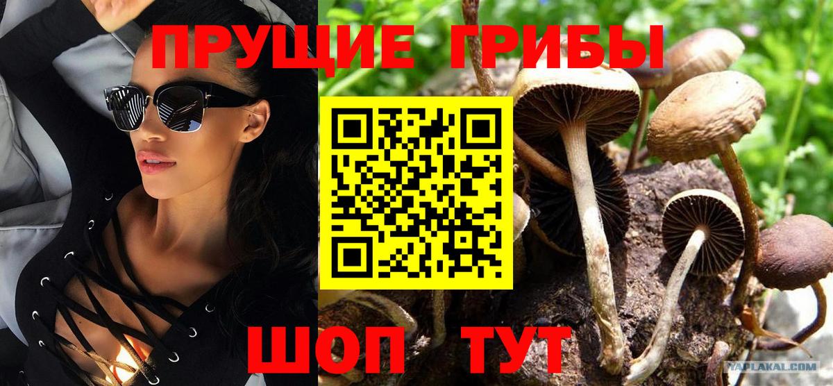 Псилоцибиновые грибы прущие грибы Мытищи